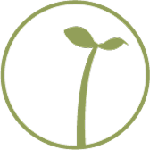 cafe sprout